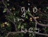 gio im web